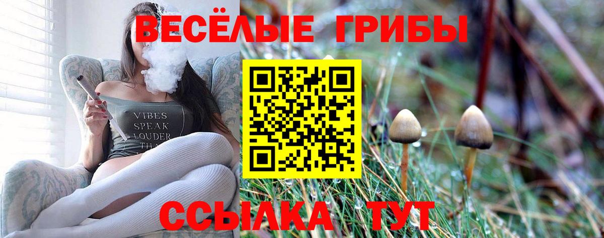 Псилоцибиновые грибы мицелий  Псилоцибиновые грибы прущие грибы  Вход с VPN  Гусиноозёрск 